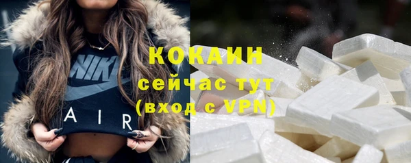 a pvp Горняк