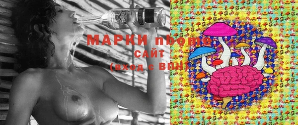 твердый Горнозаводск
