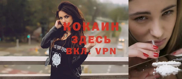 индика Гусев