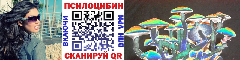 Галлюциногенные грибы Psilocybe  Сочи 