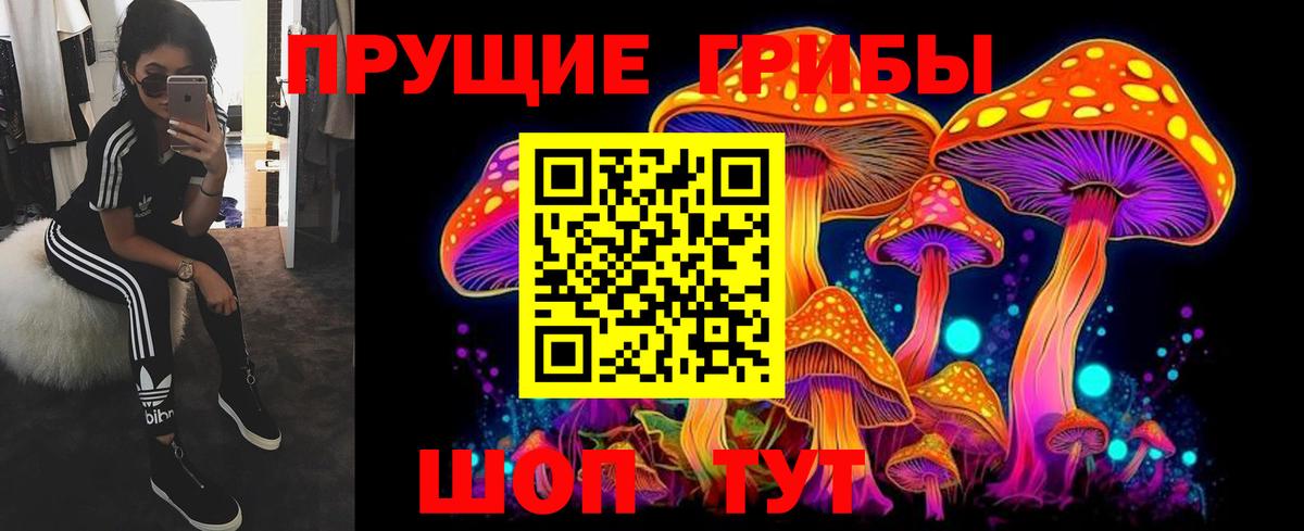 Галлюциногенные грибы ЛСД Сочи